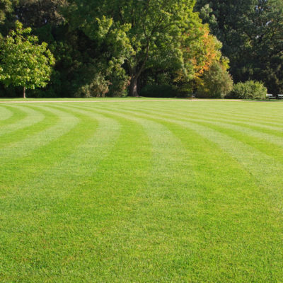 Accessori Decespugliatori EFCO