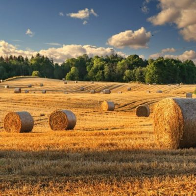 Accessori trattorini EFCO