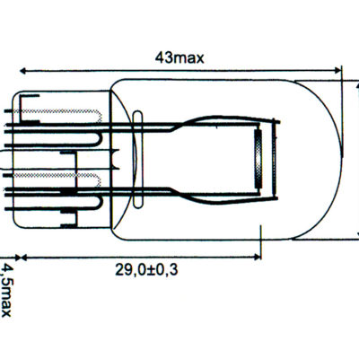 Lampadina in vetro grande 12V 21/5W